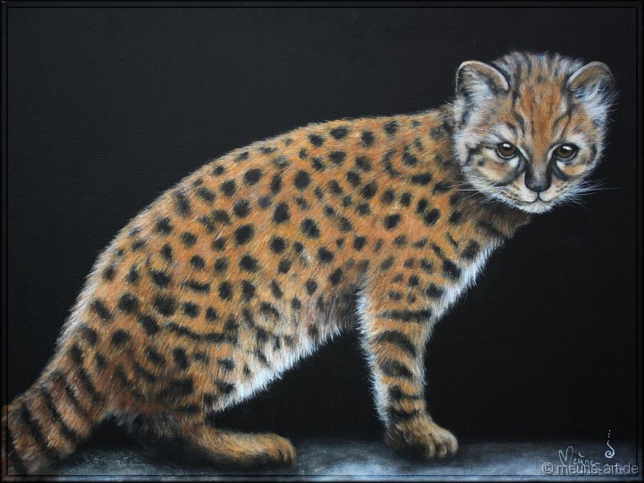Chilenische Waldkatze Acryl auf Leinwand;
80 x 60 cm